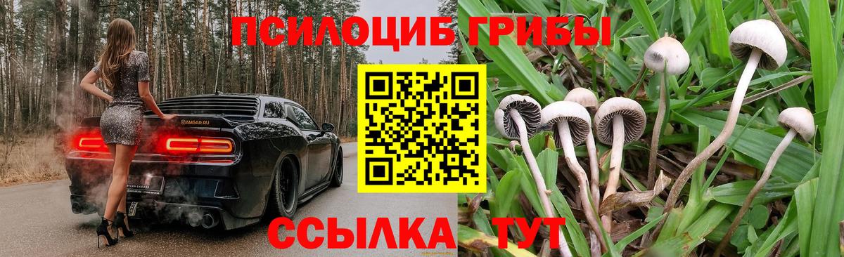Псилоцибиновые грибы MAGIC MUSHROOMS  Вход с VPN  Черняховск 
