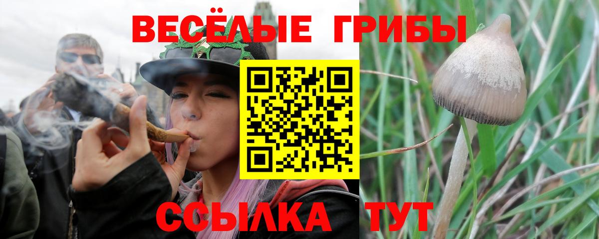 Галлюциногенные грибы ЛСД Черняховск