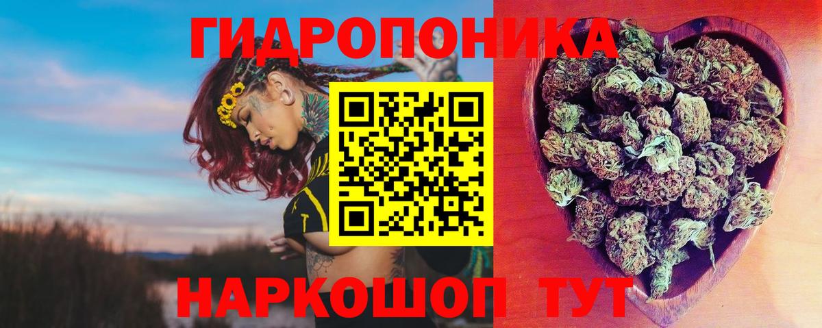 Бошки марихуана Bruce Banner Черняховск